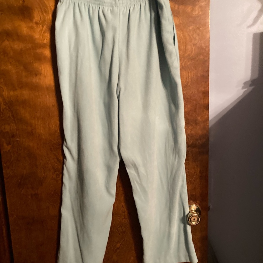 Alfred Dunner pants